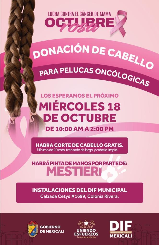 Cáncer de Mama Cáncer de Mama