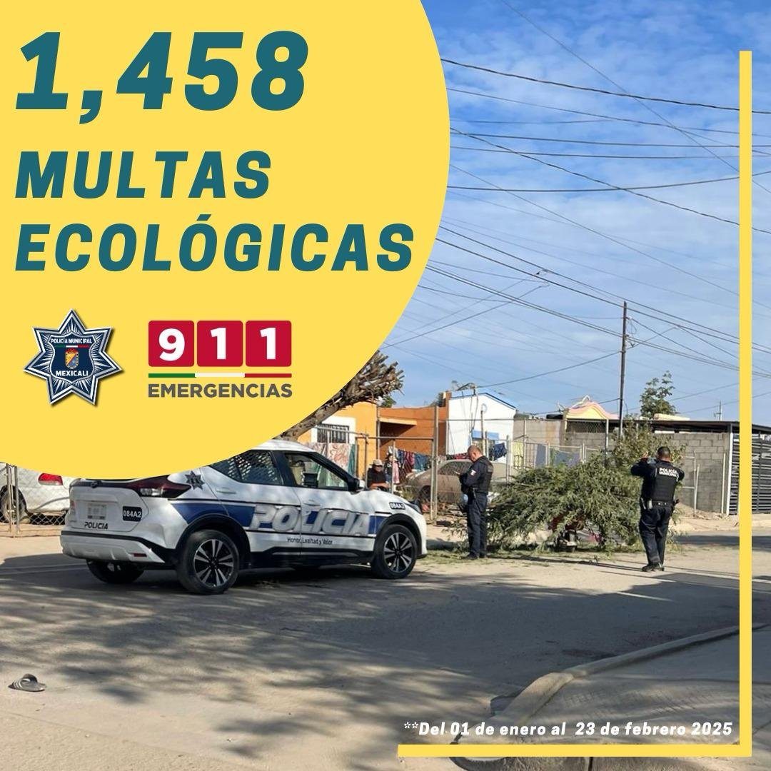 Imagen de WhatsApp 2025-02-28 a las 20.09.53_2b9c571a Imagen de WhatsApp 2025-02-28 a las 20.09.53_2b9c571a