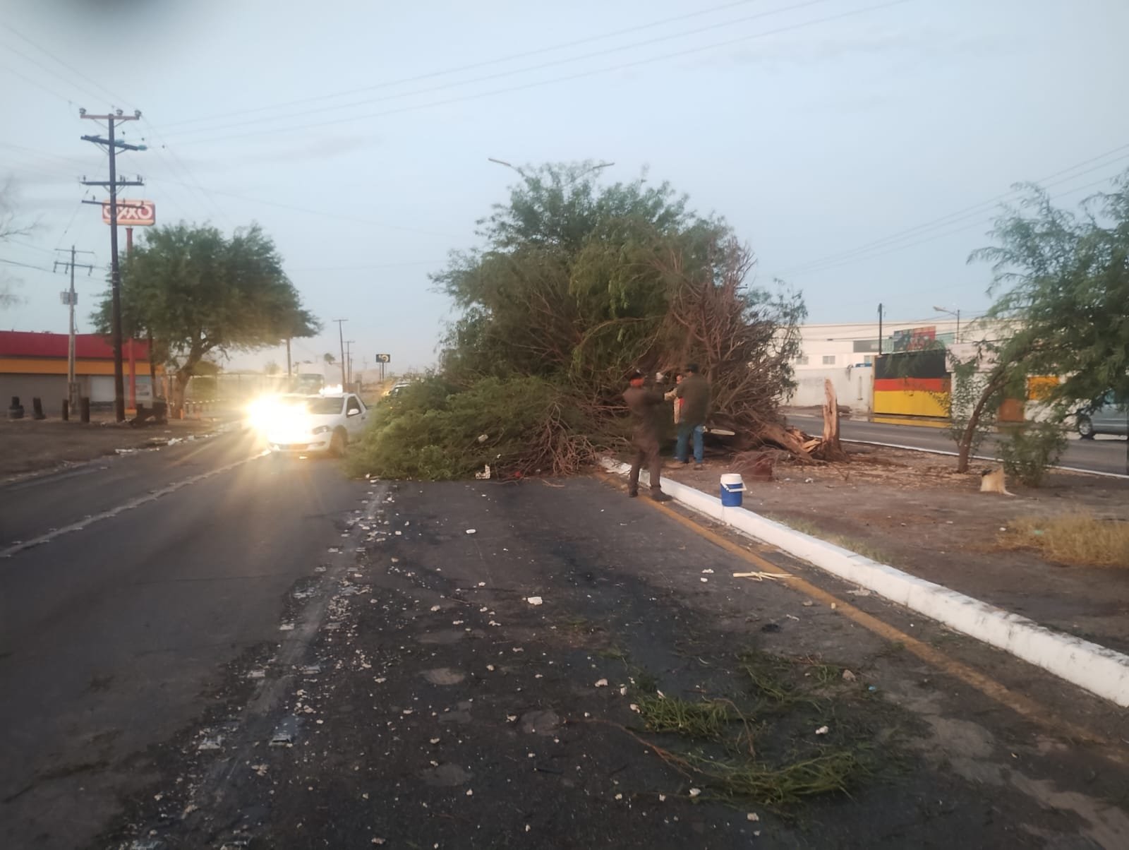 Imagen de WhatsApp 2025-08-24 a las 21.04.55_b7f59a1a