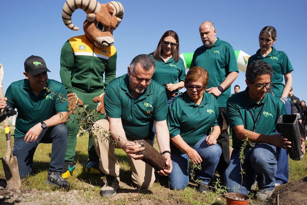 WhatsApp Image 2026-02-07 at 12.27.48