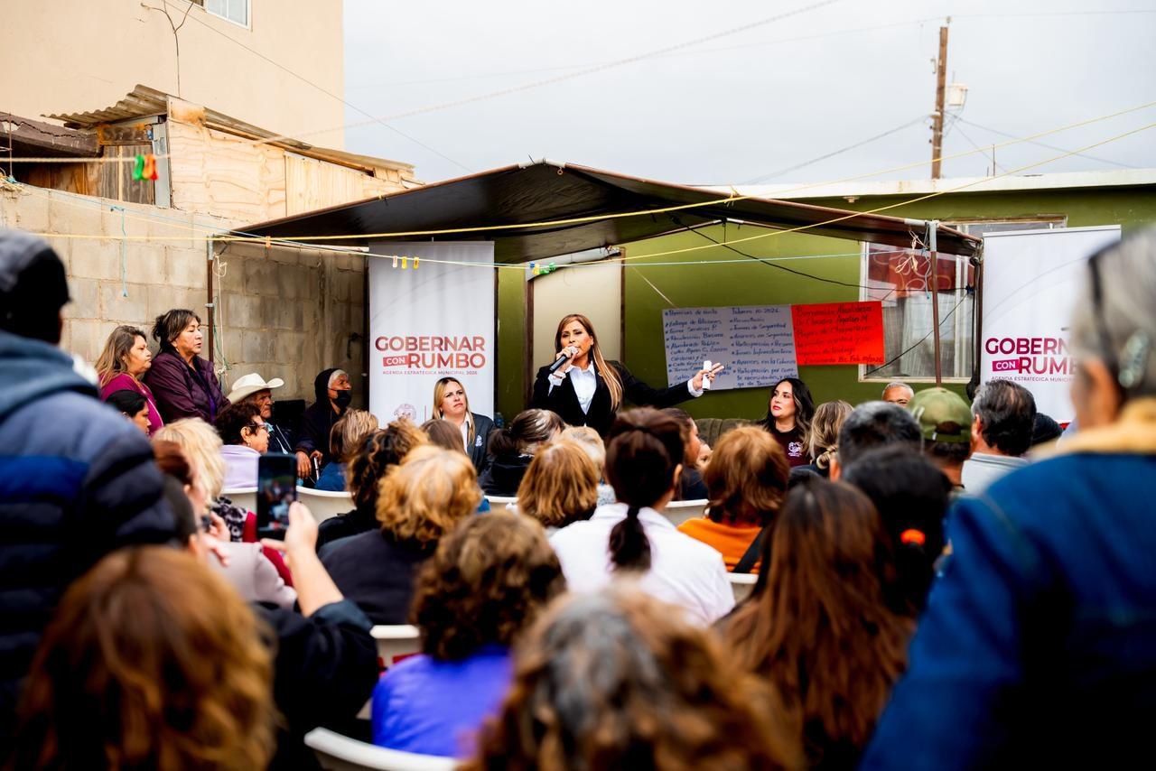 WhatsApp Image 2026-02-11 at 11.20.46