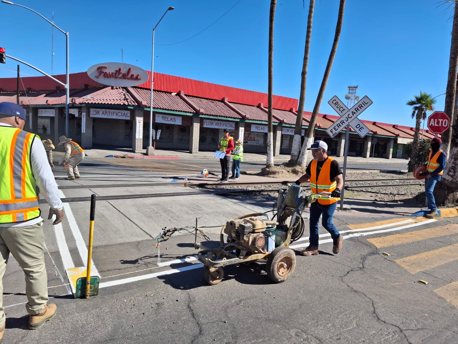 WhatsApp Image 2026-02-14 at 11.41.11 WhatsApp Image 2026-02-14 at 11.41.11