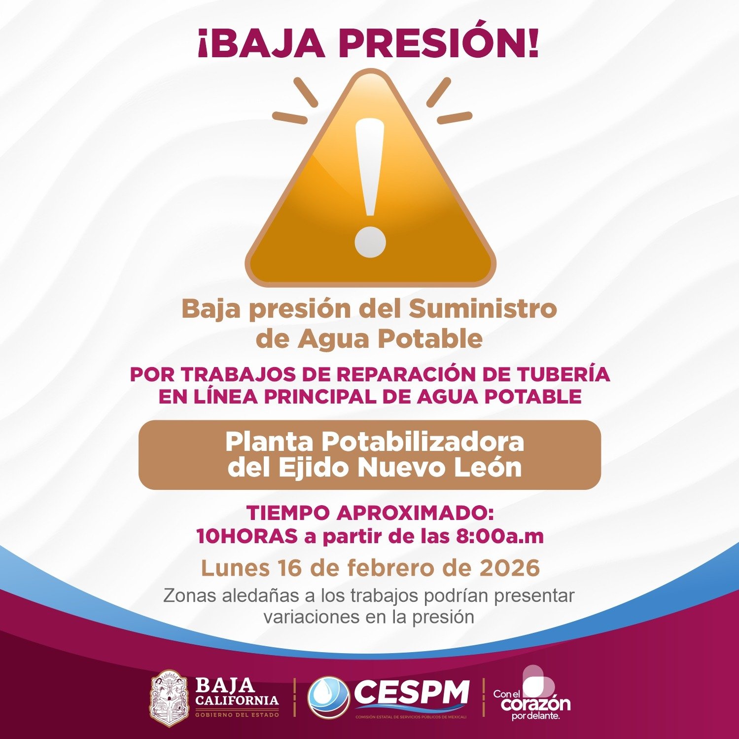 WhatsApp Image 2026-02-15 at 19.30.01 WhatsApp Image 2026-02-15 at 19.30.01