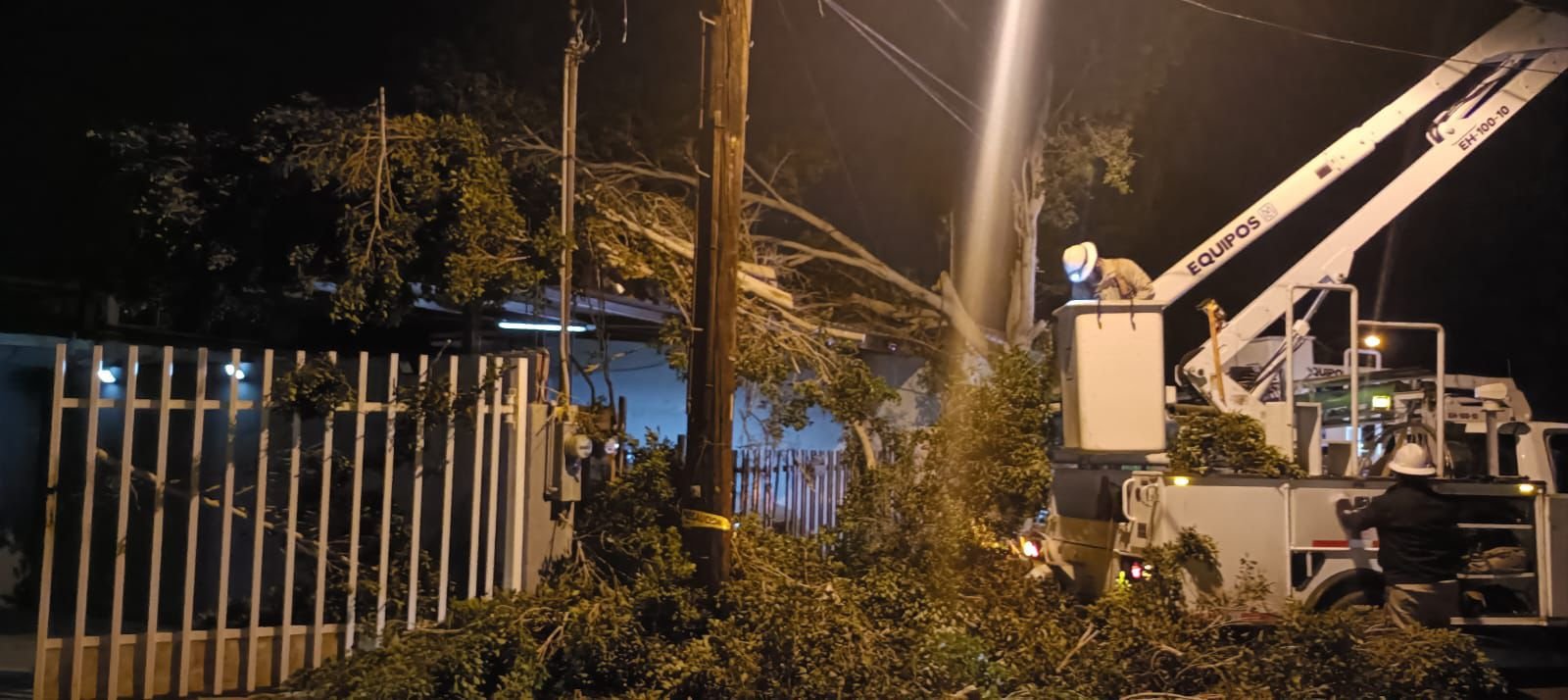 WhatsApp Image 2026-02-16 at 20.26.54 WhatsApp Image 2026-02-16 at 20.26.54