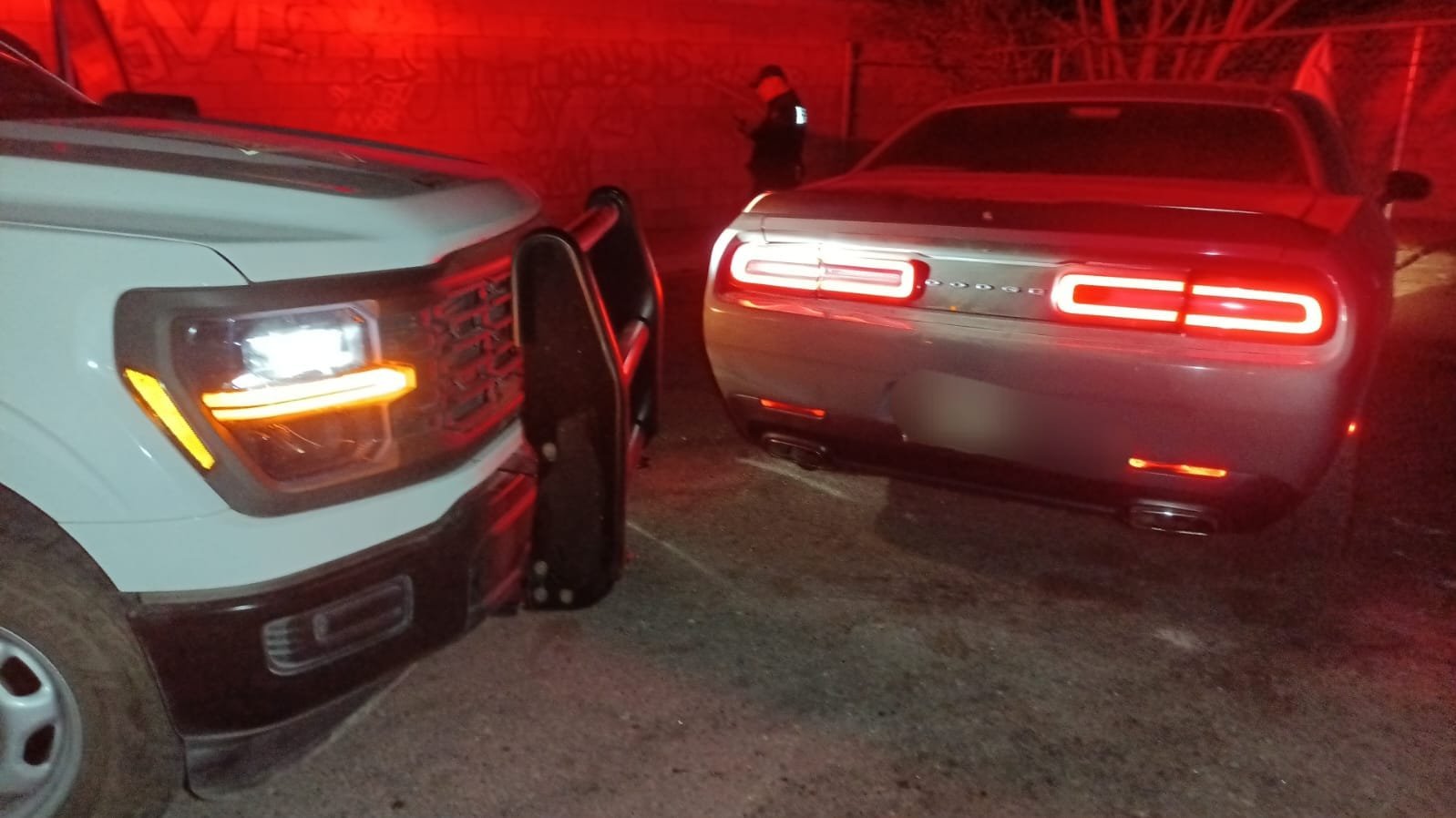 WhatsApp Image 2026-02-19 at 13.19.28