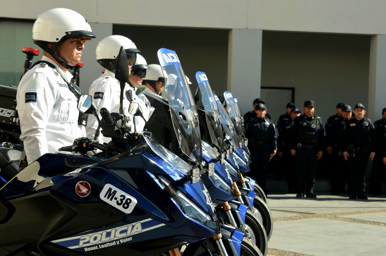 WhatsApp Image 2026-02-26 at 12.33.55