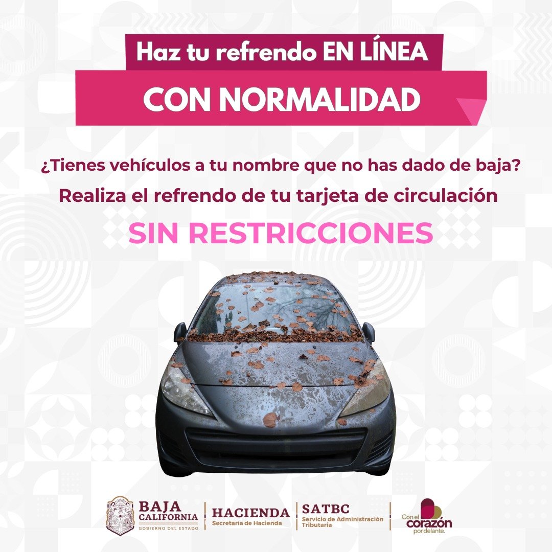 WhatsApp Image 2026-02-27 at 13.59.14 WhatsApp Image 2026-02-27 at 13.59.14