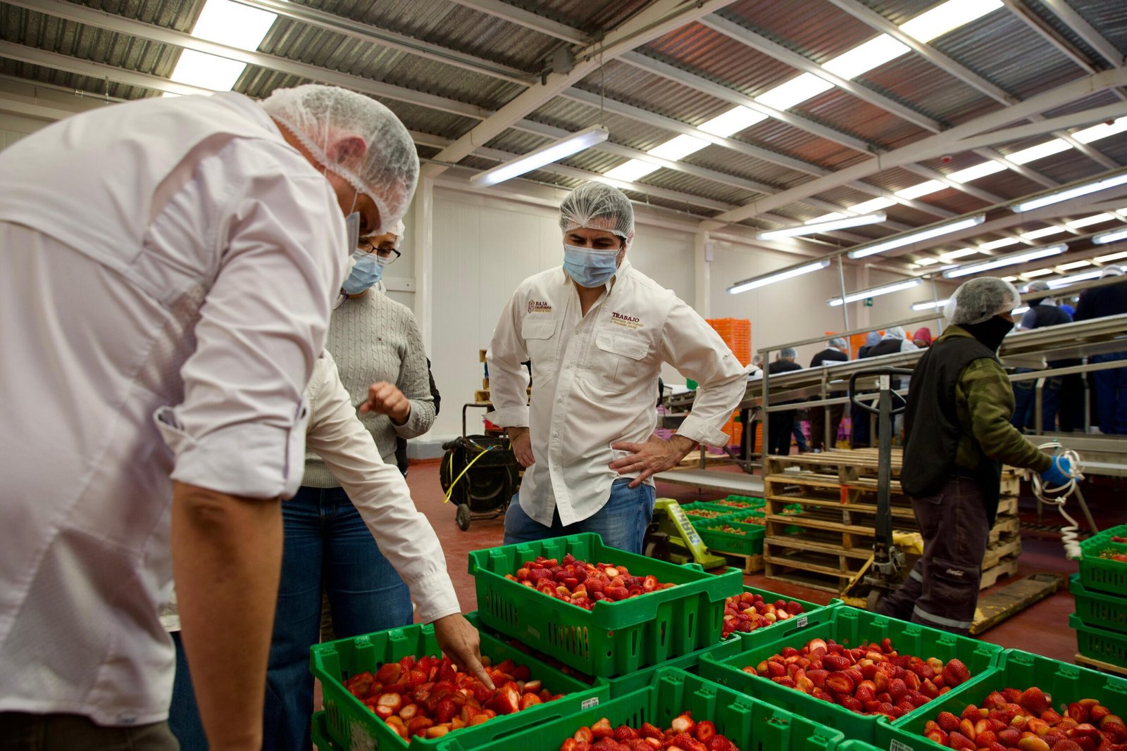 WhatsApp Image 2026-03-01 at 12.55.48