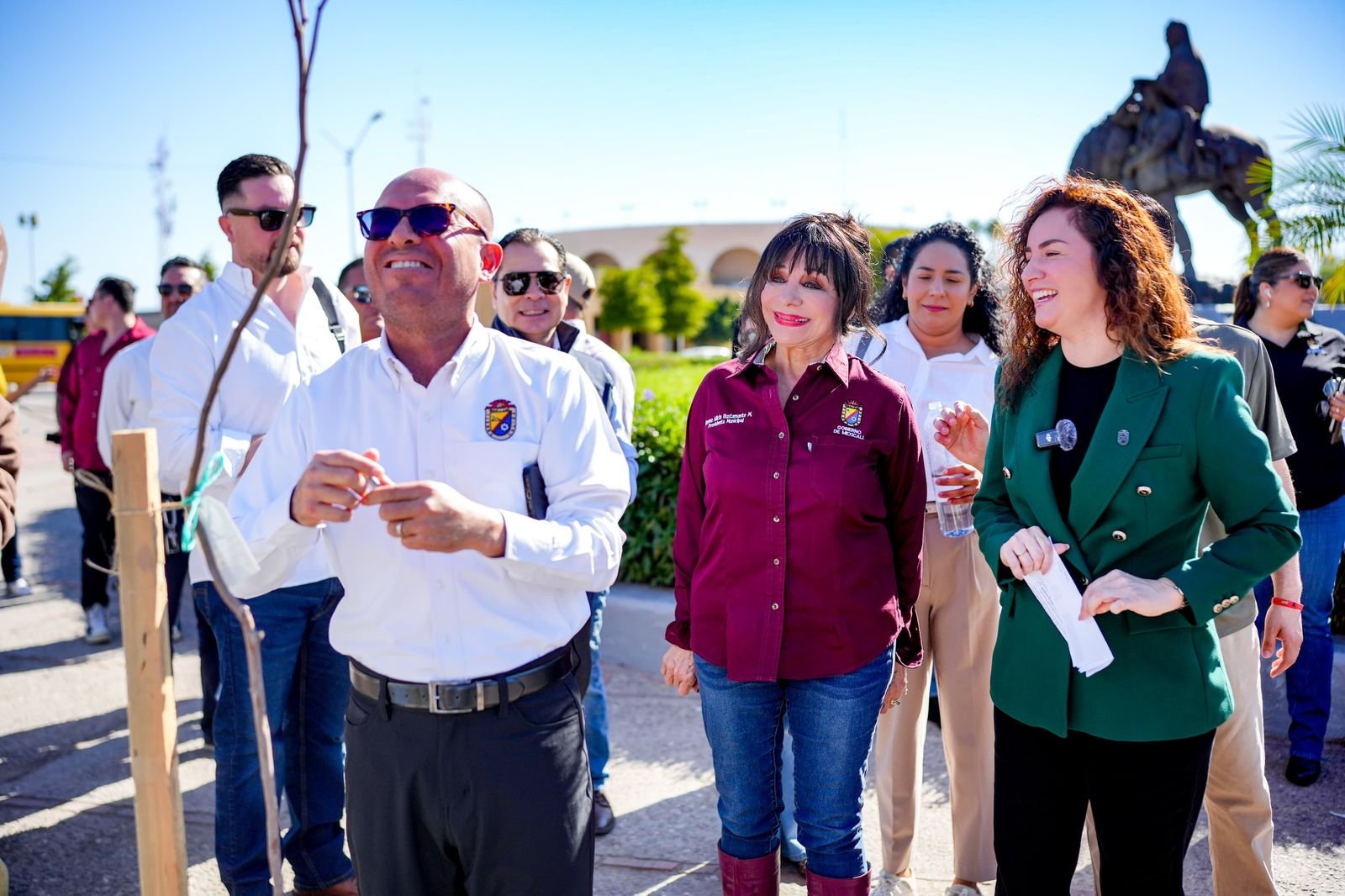 WhatsApp Image 2026-03-03 at 12.15.00 WhatsApp Image 2026-03-03 at 12.15.00