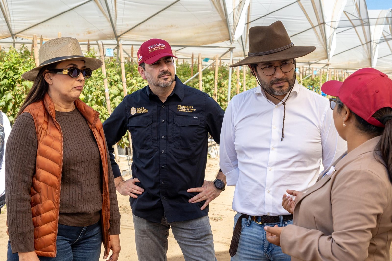 WhatsApp Image 2026-03-08 at 12.52.02 WhatsApp Image 2026-03-08 at 12.52.02