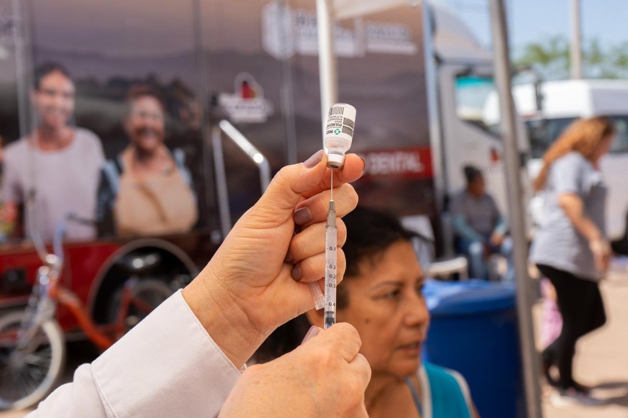 WhatsApp Image 2026-03-15 at 11.45.58 WhatsApp Image 2026-03-15 at 11.45.58