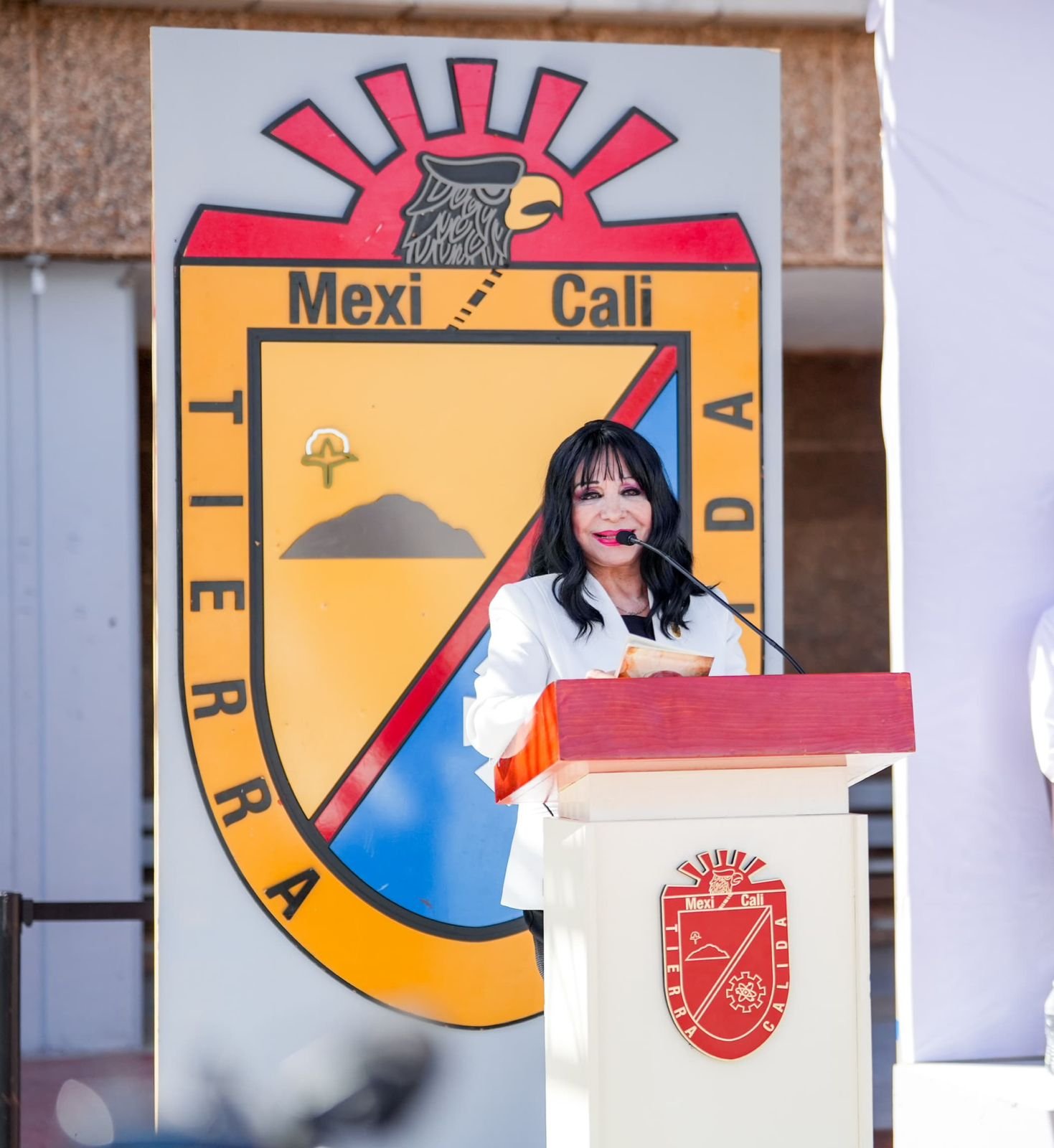 WhatsApp Image 2026-03-17 at 09.34.57