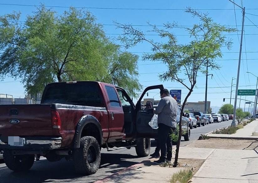 WhatsApp Image 2026-03-19 at 15.17.55