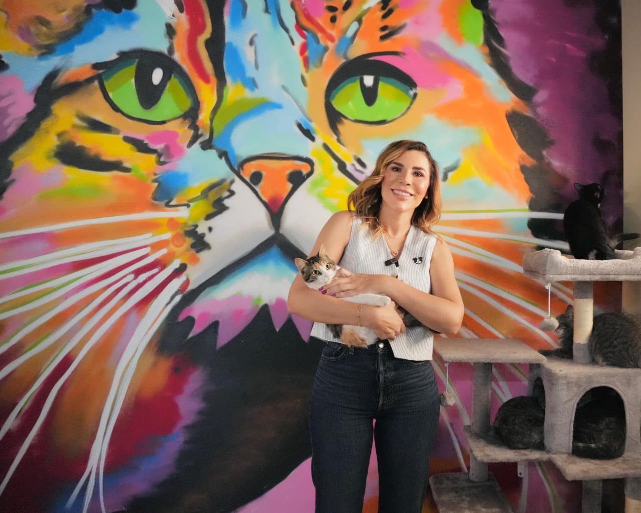 WhatsApp Image 2026-03-19 at 15.48.55 WhatsApp Image 2026-03-19 at 15.48.55