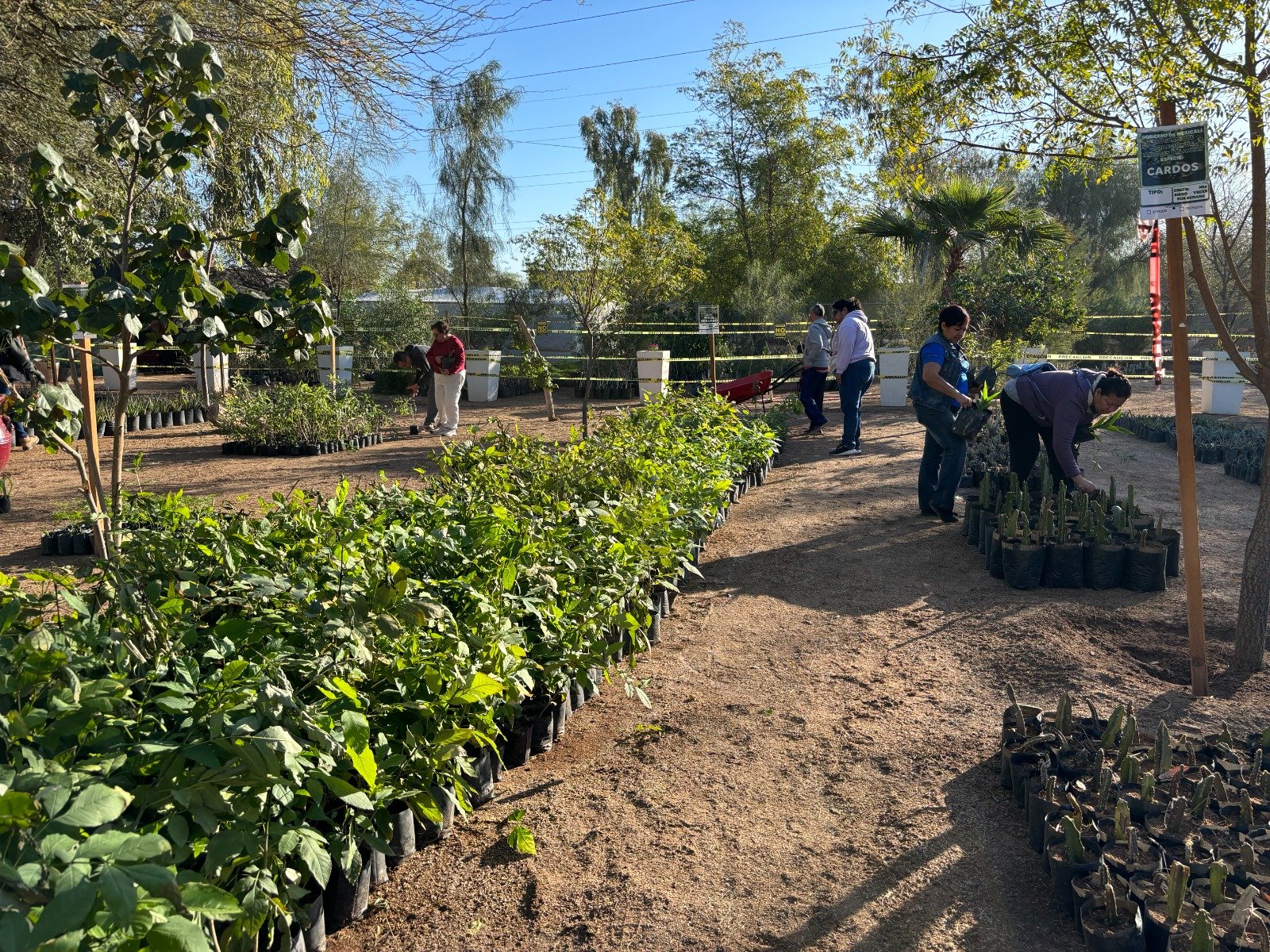 WhatsApp Image 2026-03-22 at 08.43.02 WhatsApp Image 2026-03-22 at 08.43.02