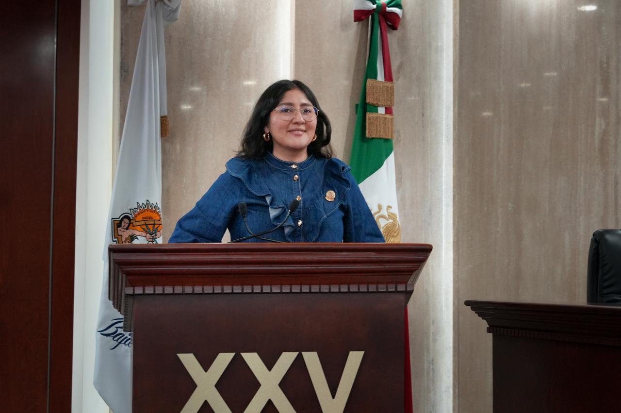 WhatsApp Image 2026-03-28 at 10.31.40 WhatsApp Image 2026-03-28 at 10.31.40