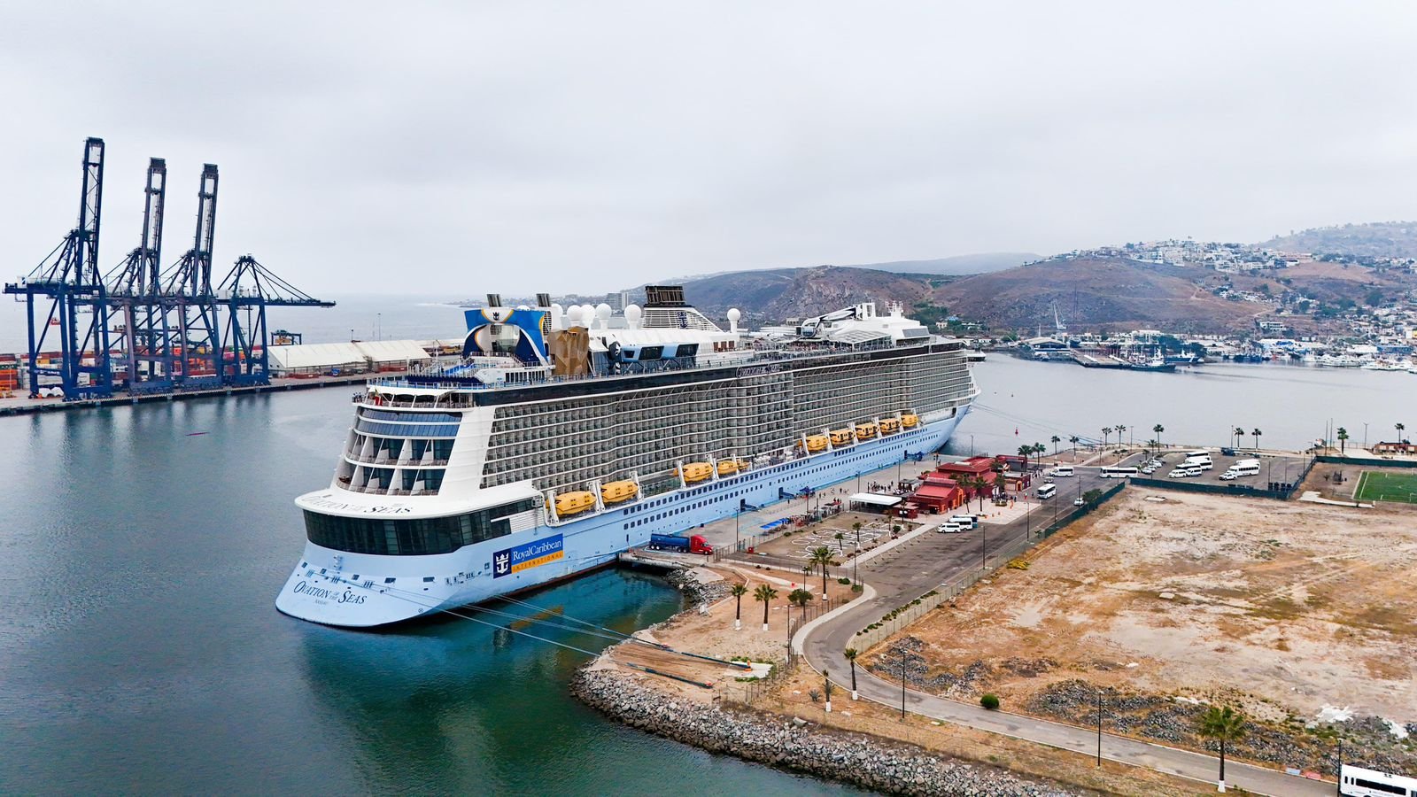 WhatsApp Image 2026-04-04 at 14.36.02