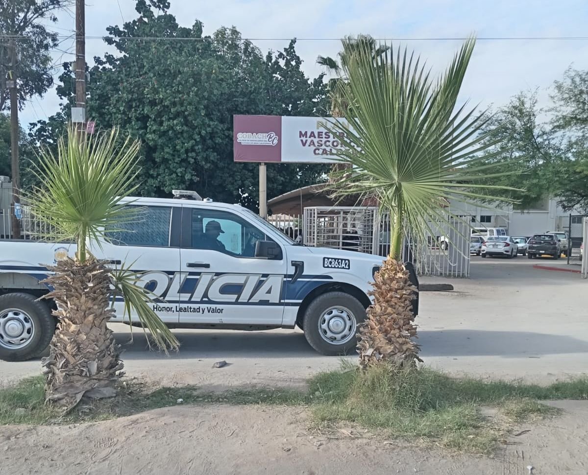 WhatsApp Image 2026-04-25 at 17.31.18