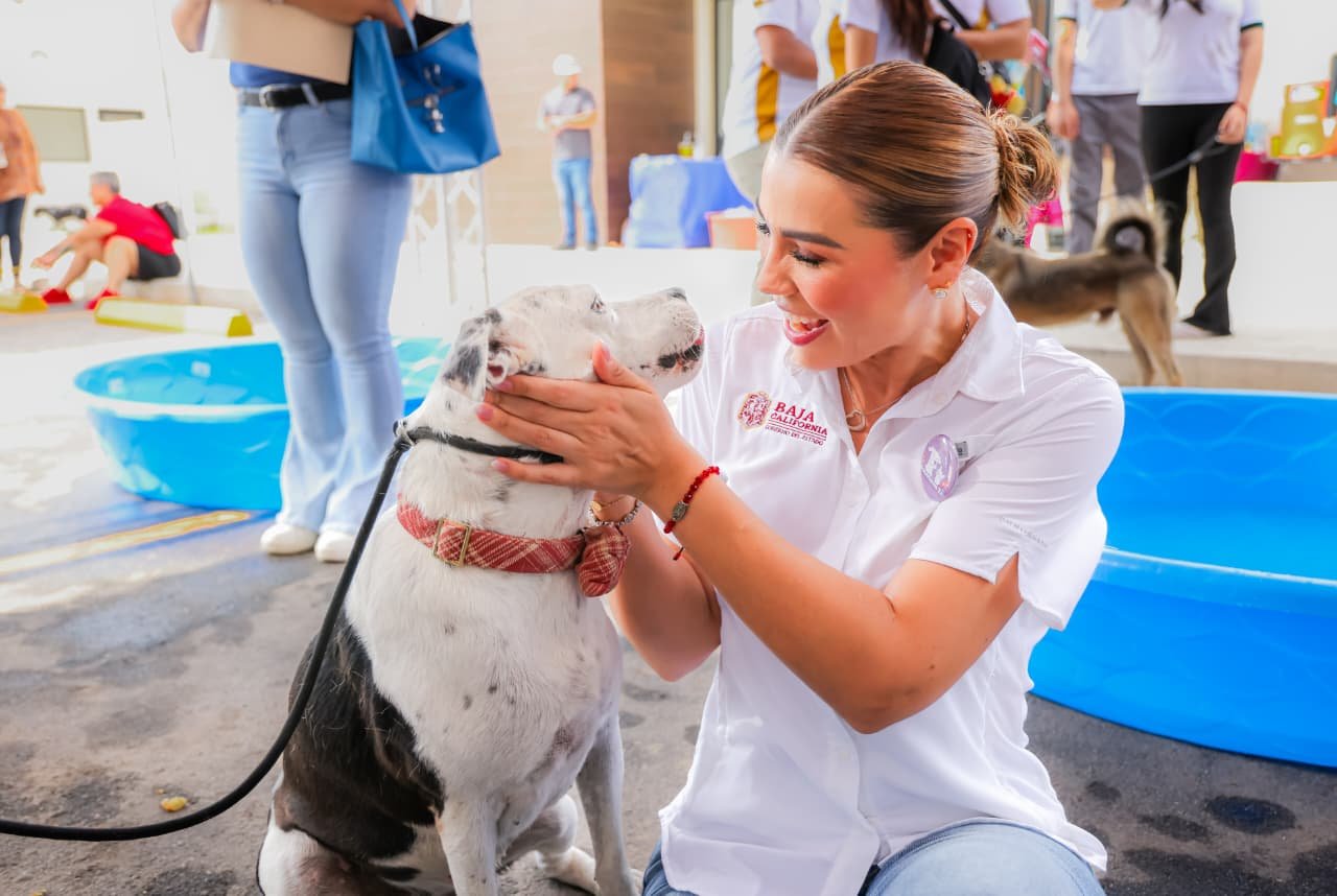 WhatsApp Image 2026-04-26 at 12.09.31